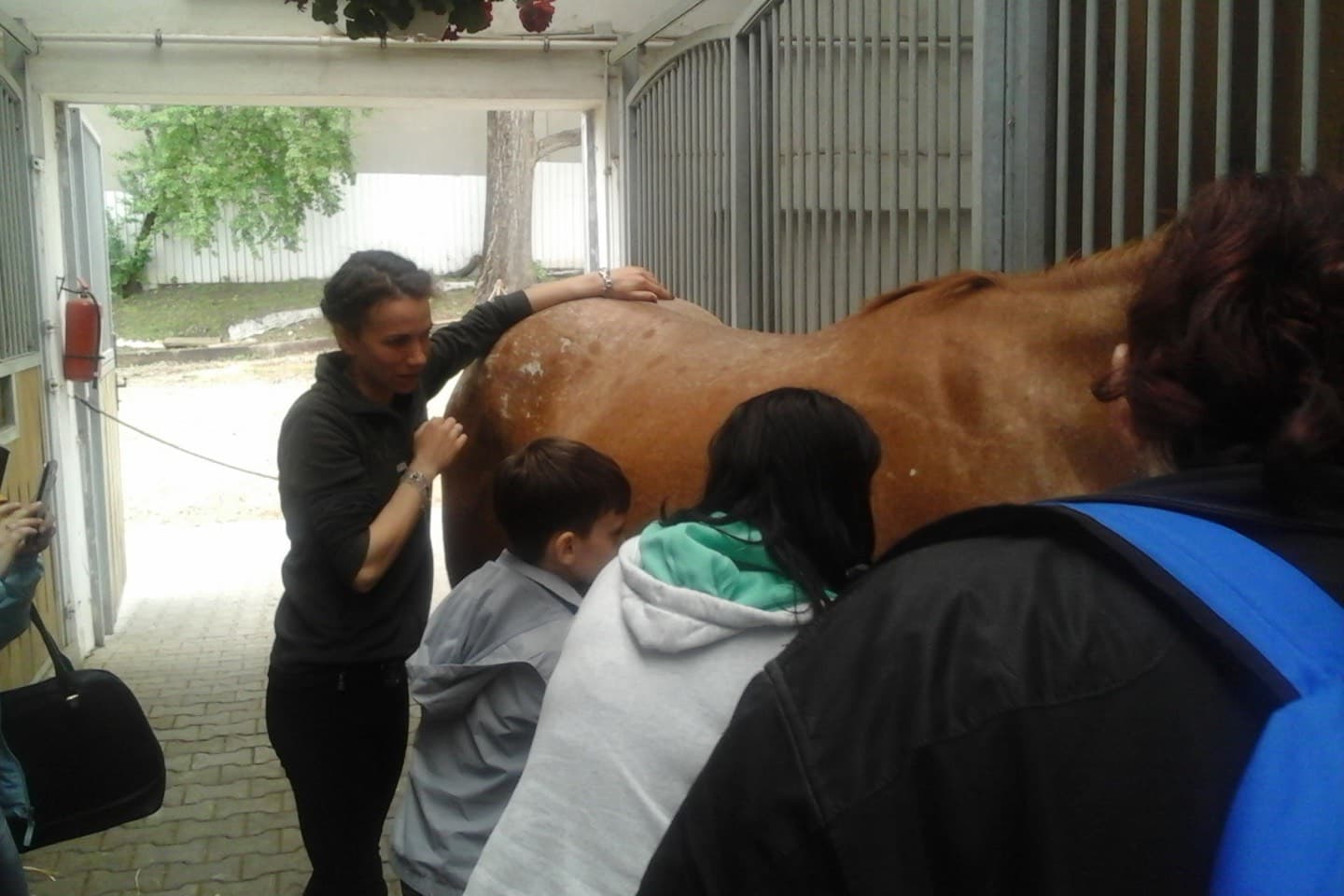 Copii de la Centrul „Sfânta Irina”, în grajdul Centrului de echitație Salina Equines, în jurul unui cal pe care o instructoare li-l arată